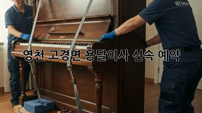 영천 고경면 용달이사 신속 예약! 💸✨